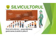 DESPRE PĂDURE