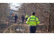 Zeci de păsări au fost găsite spânzurate în copaci într-o pădure din Botoșani