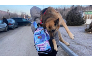 O femeie a călătorit 17 kilometri cu câinele său bătrân pe umăr: ”Nu l-am putut abandona”