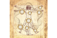 Cum îmbătrânim în funcție de ceasurile biologice