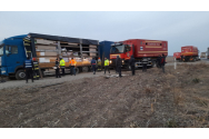 Record nefast: 42 incendii în weekend