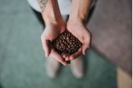 10 lucruri pe care probabil nu le știai despre cafea