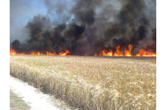 Zeci de hectare de vegetaţie uscată şi pădure, distruse în urma unor incendii