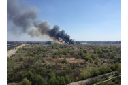 Arde Parcul Natural Văcărești. 10.000 de metri pătrați de vegetație sunt în flăcări