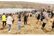  Voluntarii IULIUS s-au implicat în campanii de împădurire în Iași, Cluj și Timișoara