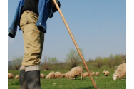 O adolescentă de 15 ani a uimit pe toată lumea. A fugit de acasă cu un cioban