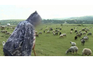 Un cioban a cerut achitarea, dar Curtea de Apel Iaşi i-a mărit pedeapsa