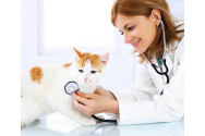 Ziua națională a medicului veterinar
