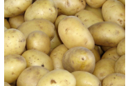 Fructul pe care trebuie să îl pui lângă cartofi ca să nu mai încolțească. Nu se vor mai strica