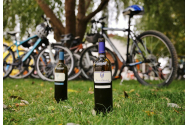 Un biciclist beat a căzut într-un pârâu