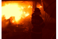 Peste 75 de hectare de vegetaíe au fost distruse de un incendiu la Bacău