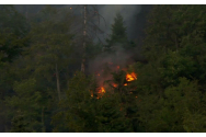 Incendiile au pârjolit stațiunea Colibița
