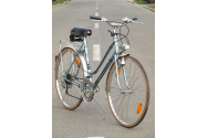 Biciclistul cu sprayul a fost învins de şoferul cu piatra