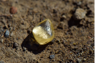   Biznizul românesc şi bălegarul din diamant