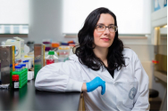  Inimă artificială, creată într-un laborator din Toronto