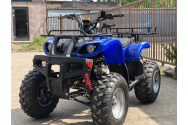  Un păşcănean gelos şi-a fugărit nevasta cu ATV-ul