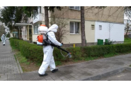 Palatul Roznovanu va fi închis astăzi. Se stropeşte cu insecticid 