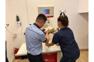  Barză salvată de poliţiştii Biroului pentru Protecţia Animalelor Iaşi