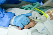 Un octogenar din Iași a fost infectat cu virusul West Nile, deși n-a ieșit niciodată din bătătură!