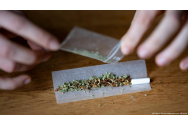 Primăria cheltuie 12.000 de euro pentru prevenirea consumului de droguri