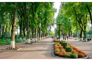 Maraton de dialog şi proiecţie cinematografică, în Parcul Copou