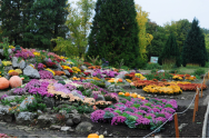 Explozie de culoare în Grădina Botanică