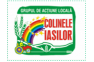 ASOCIAȚIA GRUPUL DE ACŢIUNE LOCALĂ „COLINELE IAŞILOR – prelungire apeluri de selecție din fonduri FEADR și EURI pentru măsurile de finanțare M6/6A, M7/6B și M9/6B din cadrul Strategiei de Dezvoltare Locală a Asociației GAL „Colinele Iașilor” 2014-202