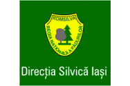 DESPRE PADURE