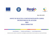 ANUNȚ DE SELECȚIE A PARTICIPANȚILOR ÎN CADRUL  INCUBATORULUI DE AFACERI  NEO  IDEAS CONNECTED  