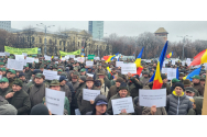   Silvicultorii și „sentimentul de ură împotriva mediului privat”
