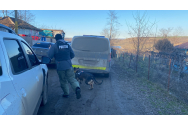 FOTO/VIDEO: Crimă oribilă în Botoșani. Un bărbat decapitat a fost descoperit de către un vecin, în curtea casei. Politistii au impanzit zona