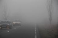 Cod galben de ceaţă şi polei în 3 județe