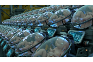 Uterul artificial care ar permite alegerea caracteristicilor copilului 
