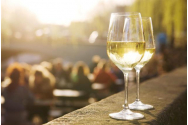 Cifra de afaceri a producătorilor de vin, în creștere