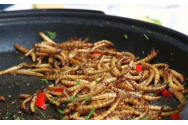 ANPC impune noi reguli privind produsele alimentare ce conțin insecte! Ce vor fi obligați să facă toți comercianții