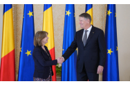 Ambasadoarea Americii la Bucureşti atacă regimul Iohannis în chestiunea libertăţii presei