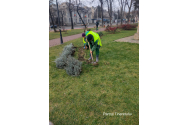 Ieşenii vor plăti mai muţi bani pentru gazonul din oraş