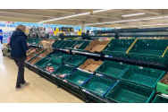 Motivul crizei alimentare din Marea Britanie. Cât de justificate sunt speculațiile legate de Brexit