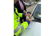 Sancţiuni de toată jena la sălile de jocuri de noroc!