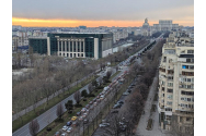 PSD conduce detașat pentru locale