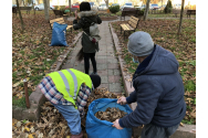 Sute de ieşeni care nu şi-au plătit amenzile, puşi la muncă în folosul comunităţii