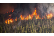 Stare de urgență în Siberia. Incendiile de pădure fac ravagii
