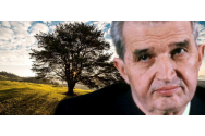 Locul miraculos descoperit de Ceauşescu în România. Nu dorea ca vreun român să ajungă aici