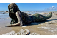 De unde vin păpușile grotești din Texas. Figurinile au acoperit o plajă