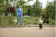Ștefan Mandachi a salvat un câine din gunoi. El fusese aruncat de viu de către stăpân