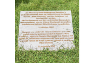  Replica teiului lui Eminescu din Viena a înflorit pentru prima oară