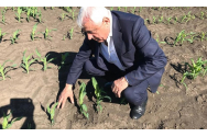 Programul pilot lansat de Petre Daea
