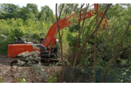 Revoltă într-o localitate din Bistrița după ce un sătean a tăiat păduricea de lângă casă pentru a avea mai mult loc pentru grătar