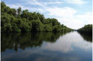 Ca să ajungă la părinții săi din Italia, un copil a traversat Prutul înot
