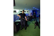 Un câine dintr-o rasă periculoasă a pus pe fugă vasluienii